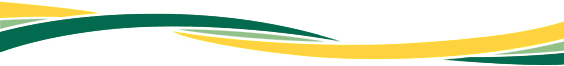 Yellow and green school banner